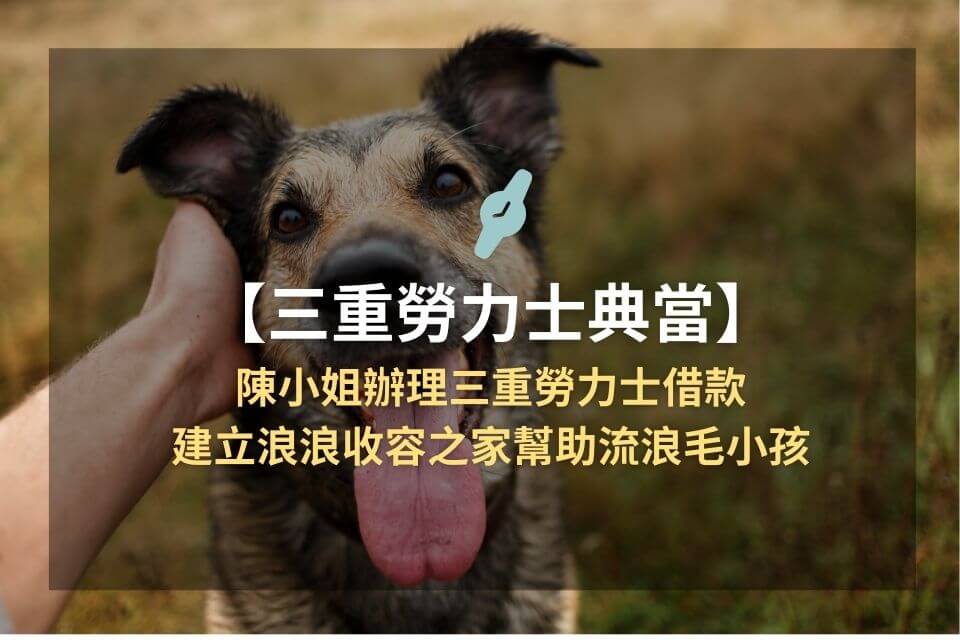 【三重勞力士典當】幫助流浪毛小孩,三重勞力士借款助陳小姐建立浪浪收容之家